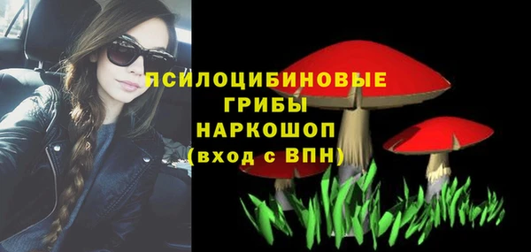 шишки Алзамай
