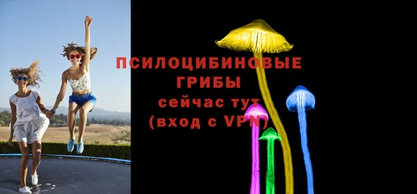 спиды Алексин
