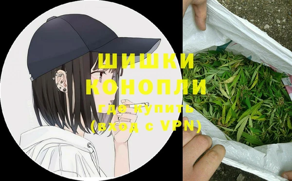 шишки Алзамай