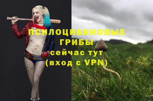 спиды Алексин