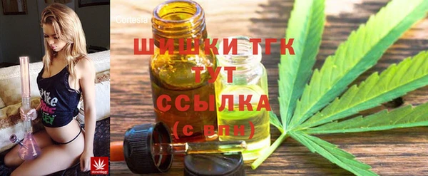 шишки Алзамай